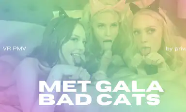 Met Gala Bad Cats VR Porn Pmv by Private Jet