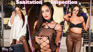 Sanitation Inspection